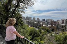 Private Santiago City Tour with Cable Car