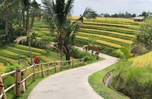 Tanah Lot , Jatiluwih & North Bali Private Tour All–Inclusive