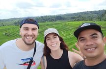 Tanah Lot , Jatiluwih & North Bali Private Tour All–Inclusive