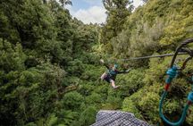 Rotorua Highlights: Wai-O-Tapu, Lunch & 5 Experience Choices