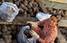 Can Tho: Floating Market, Canals, Tropical Orchards & Mekong Life