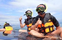 One Day Koh Chang Reef Snorkeling and Koh Rang Trip with Transfer