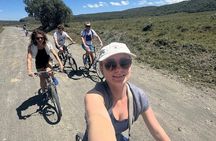 Nairobi: Lake Nakuru National Park and Hell's Gate Safari