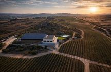 Wine tasting in Gallura with typical products