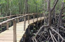 Jozani forest, Maalum cave, Mtende beach and The rock restaurant