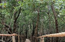 Jozani forest, Maalum cave, Mtende beach and The rock restaurant