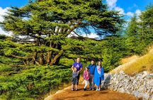 Private Cedar Hike, Beiteddine Palace & Deir el Qamar Tour