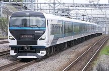 Kawazu Cherry Blossom Sightseeing Tour from Tokyo by Train