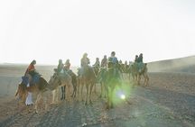 Agafay Desert Sunset Tour: Quad Bike, Camel Ride & Dinner Show