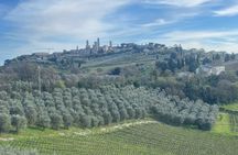[MAX 8pp] Gelato, Wine & Cheese in San Gimignano from Florence