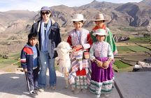 Arequipa to Puno via Colca Canyon 2 days with hotel