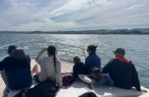 Dolphin Watching in Estepona Le Flot Riant