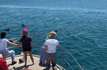 Dolphin Watching in Estepona Le Flot Riant