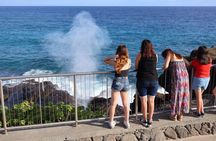 Circle Island on Oahu Full Day Excursion