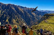 Arequipa to Puno via Colca Canyon 2 days with hotel