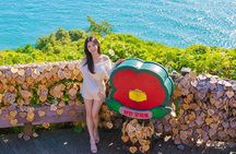 Return Assurance - Yeosu Private Tour for Cruise Guests