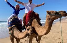 Tangier Private Tour from Tarifa with Ferry and Camel Ride