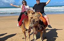 Tangier Private Tour from Tarifa with Ferry and Camel Ride