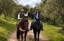 Private Horseback Riding and Wine Tasting Tour