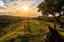 Private Horseback Riding and Wine Tasting Tour