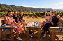 Private Wine Tasting Tour in Santa Ynez Valley