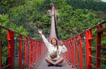 DMZ Guided Tour & North Korean Defector/Suspension Bridge