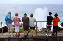 Circle Island on Oahu Full Day Excursion