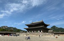 Private and Custom Highlights Tour from Seoul
