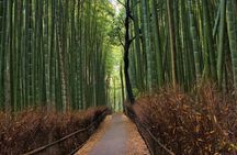 Traversing Kyoto's Scenic West - Arashiyama to Kinkakuji