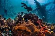 Side Scuba Diving with Lunch and Hotel Transfers