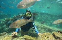 Side Scuba Diving with Lunch and Hotel Transfers
