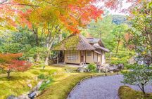 Kyoto Heritage Path - Fushimi Inari's Mystery to Kiyomizu Temple