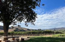 Private Wine Tasting Tour in Santa Ynez Valley
