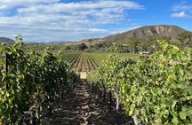 Private Wine Tasting Tour in Santa Ynez Valley