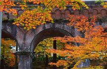 Bamboo Artistry, Zen Serenity & with Ginkaku-ji in Kyoto