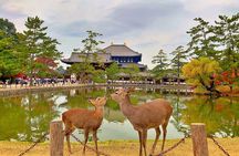Nara Day Tour: Todai-ji, Kasuga Taisha & Sacred Deer Walk