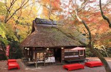 Nara Day Tour: Todai-ji, Kasuga Taisha & Sacred Deer Walk