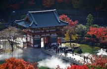 Osaka's Secret Adventures: Daruma Magic and Minoh Falls