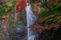 Osaka's Secret Adventures: Daruma Magic and Minoh Falls