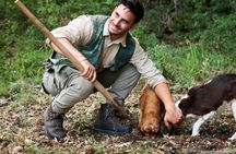 Truffle Trail and a Taste of Tuscany