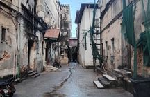 Zanzibar: Private Stone Town & Prison Island.