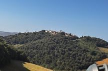 EBike Tour Querceto and Monterufoli Forest