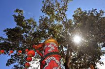 Pickup from Berastagi : Hiking Mount Sibayak and City Tour