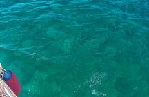 Shared Catamaran Tour - Cinque Terre and Gulf of Poets