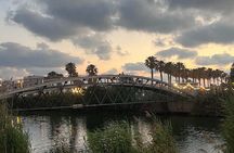 Tel Aviv Port Walk with Maccabiah and Independence Stories