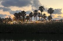 Tel Aviv Port Walk with Maccabiah and Independence Stories