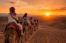 Marrakech : Agafay Desert: traditionnel dinner ,camel ride & Quad