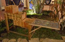 Chocolate Workshop in Granada City