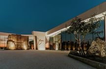 Wine tour with wine tasting in Salento