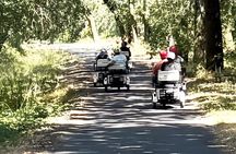 Healdsburg Wine Country Electric Trike and Wine Tour 3 Hours